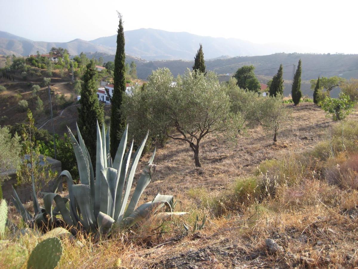 Villa Casa Siete Arcos Sedella Esterno foto